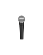 Microfonía